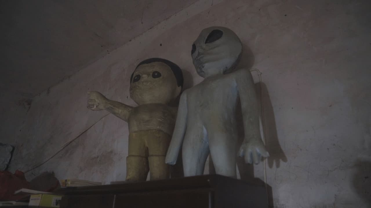 Fragments from the Birth of the Universe