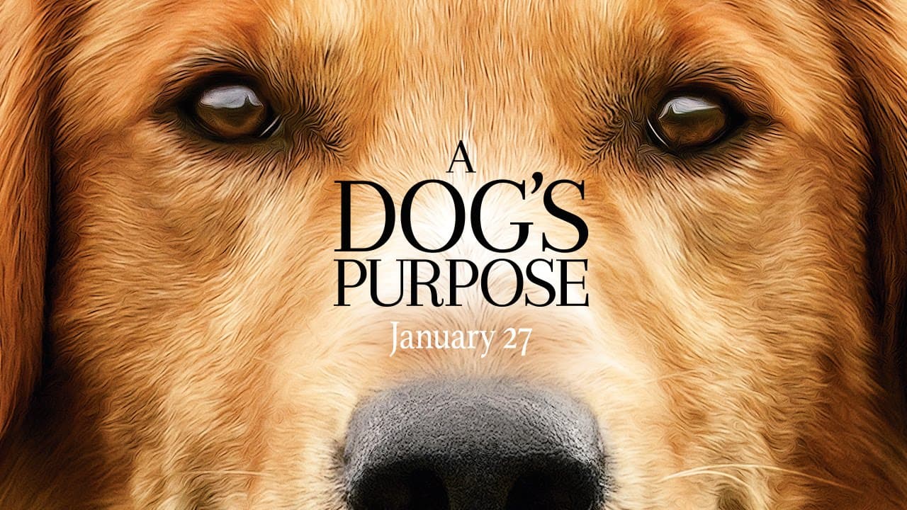 A Dog's Purpose trailer