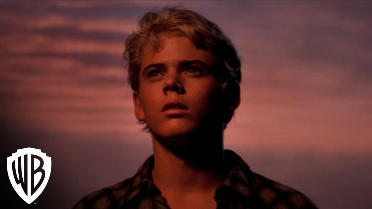 The Outsiders trailer