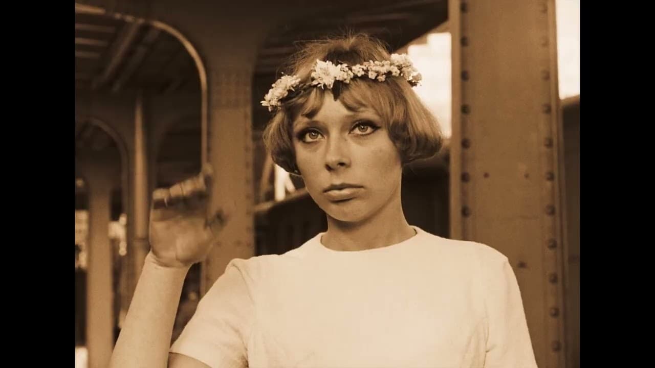 Daisies trailer
