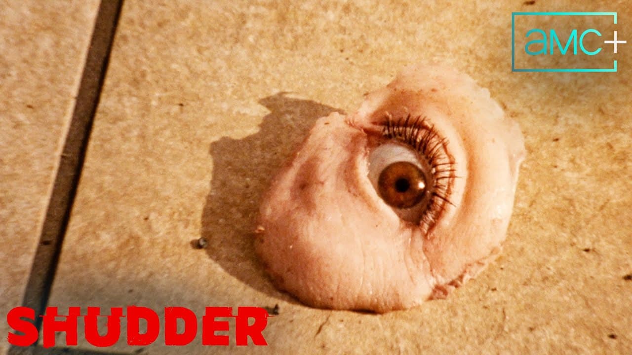 Reflection in a Dead Diamond trailer