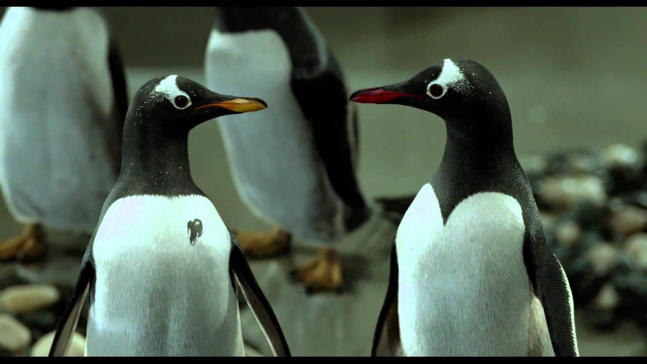 Mr. Popper's Penguins trailer