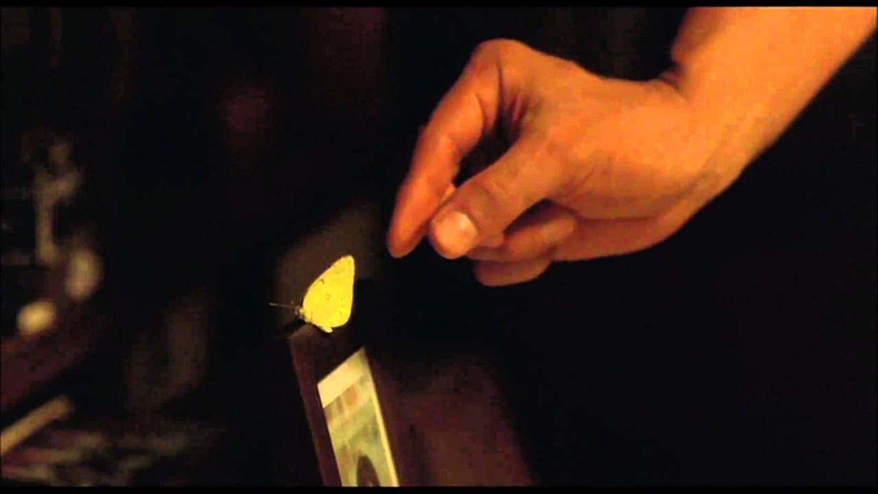 Still Walking trailer