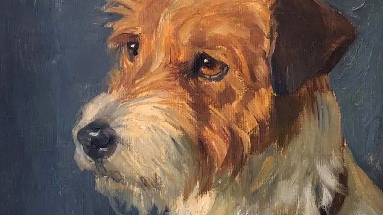 The Chemists trailer