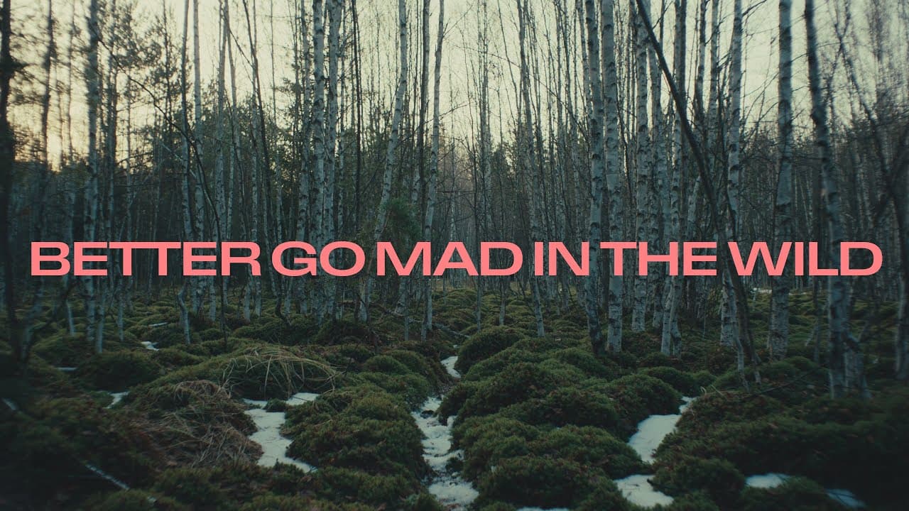 Better Go Mad in the Wild trailer