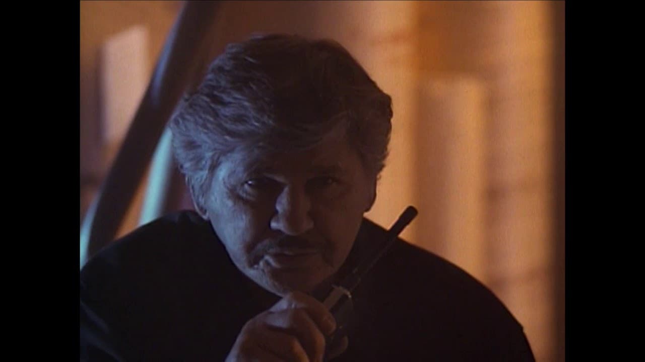 Death Wish V: The Face of Death trailer