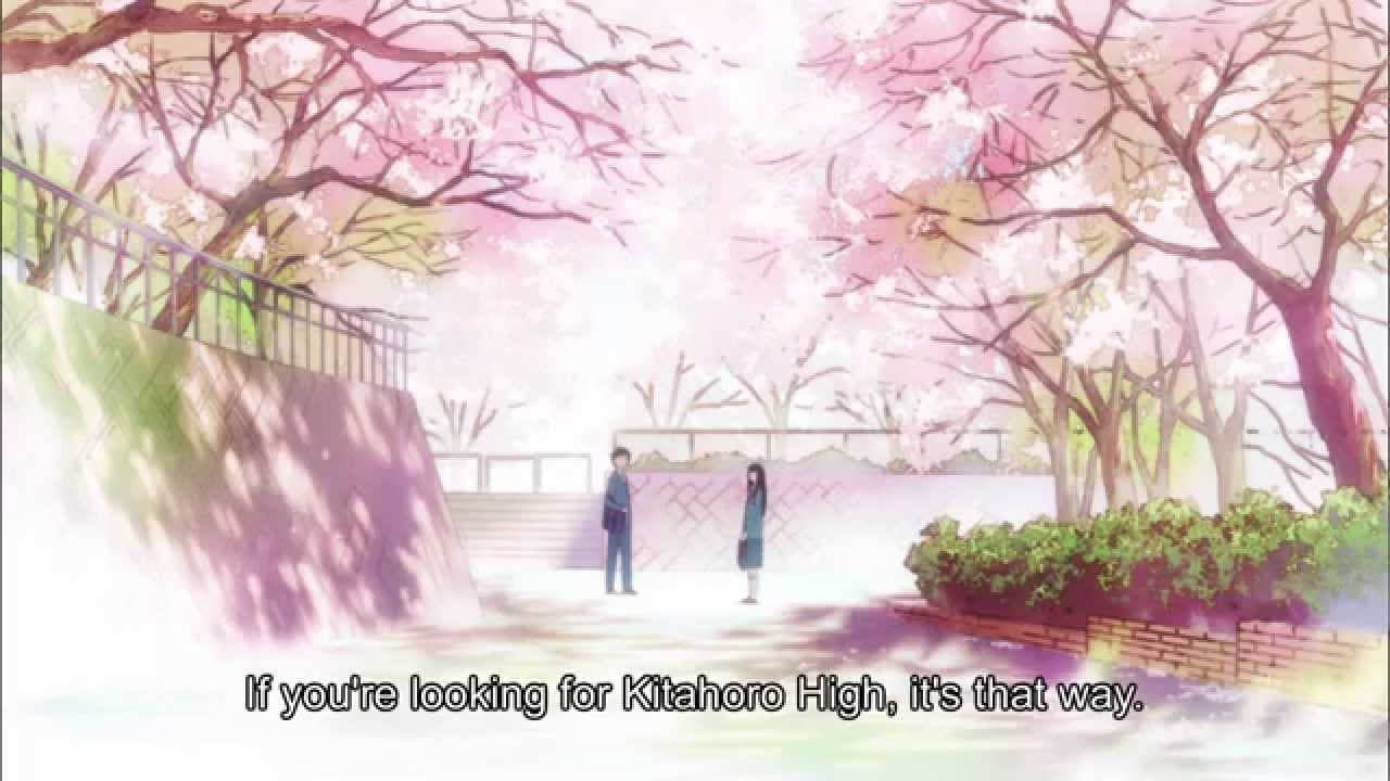 From Me to You: Kimi ni Todoke trailer